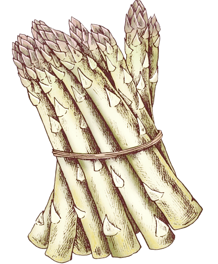 esparragos